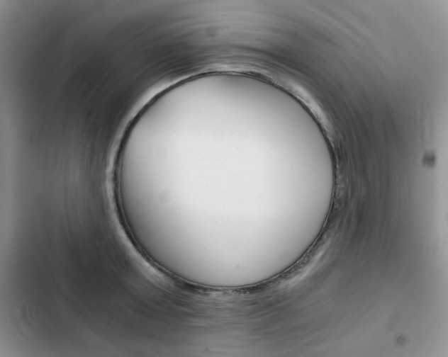 X0000102820803200808181023