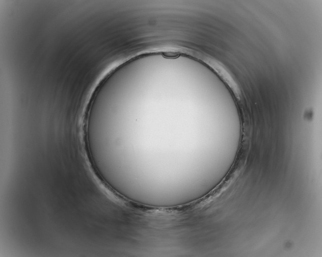 X0000102820805200808181023