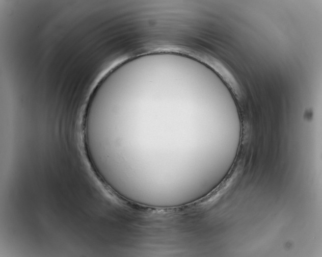 X0000102820806200808181023