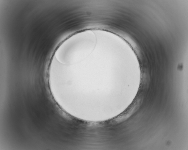 X0000102820807200808181023