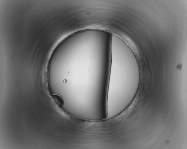 X0000102820808200808181023