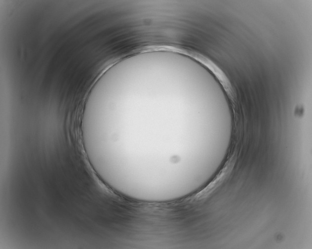 X0000102820809200808181023