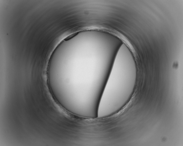 X0000102820810200808181023