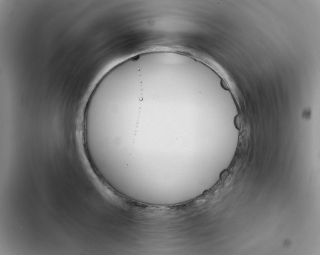 X0000102820811200808181023