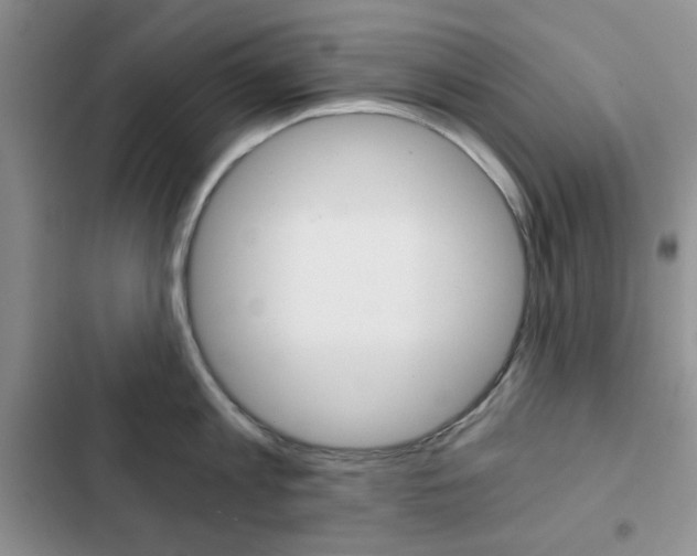 X0000102820813200808181023