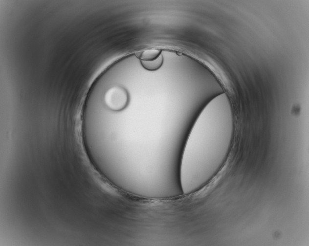 X0000102820814200808181023