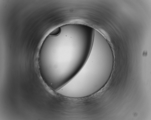 X0000102820816200808181023