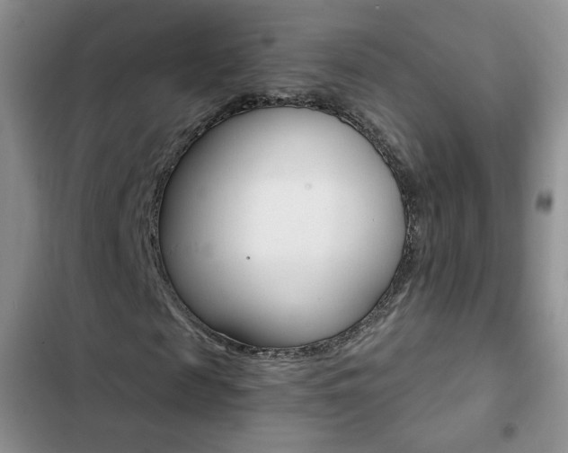 X0000102820817200808181022