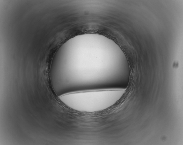 X0000102820818200808181022