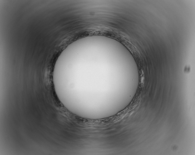 X0000102820819200808181022