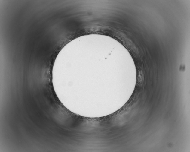 X0000102820820200808181022