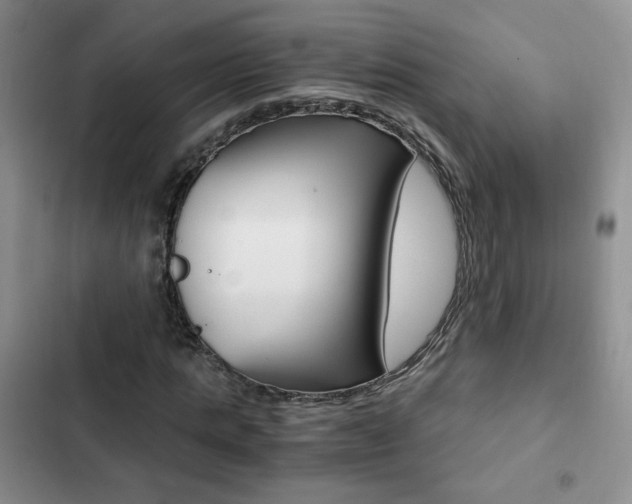 X0000102820821200808181022