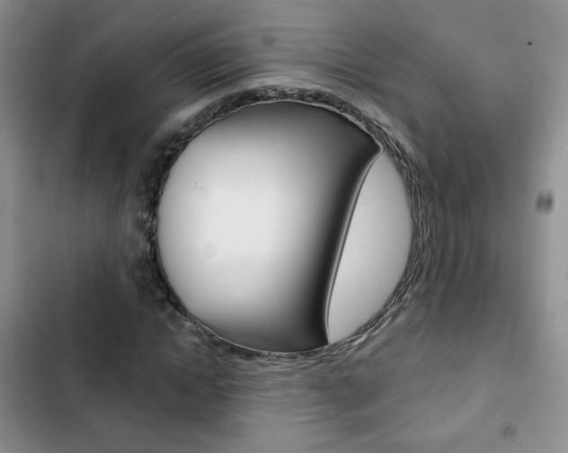 X0000102820822200808181022