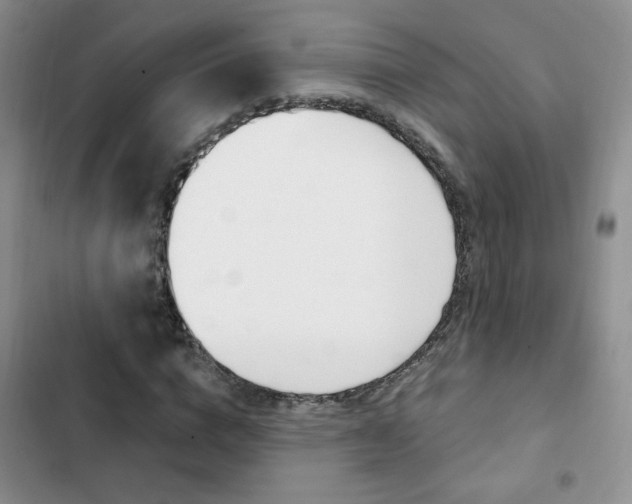 X0000102820824200808181022