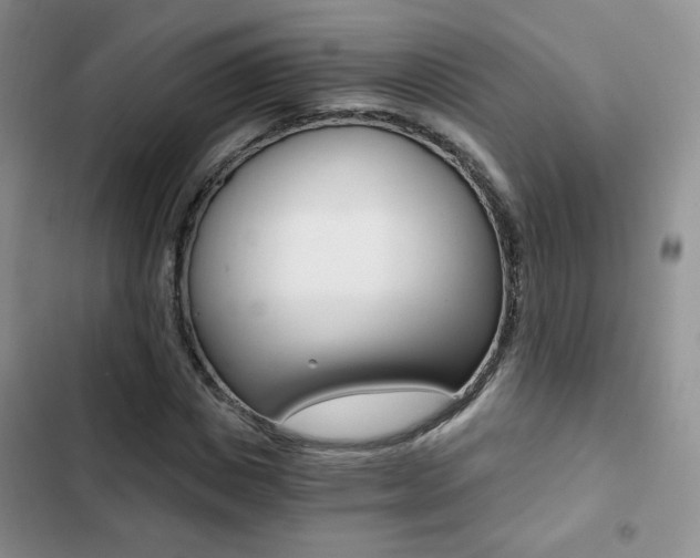 X0000102820825200808181022