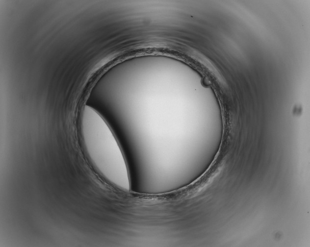 X0000102820826200808181023