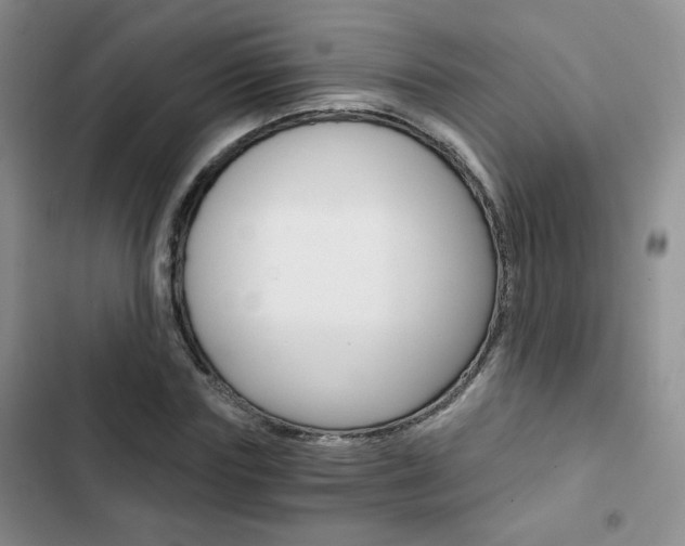 X0000102820827200808181023