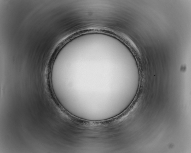 X0000102820831200808181023