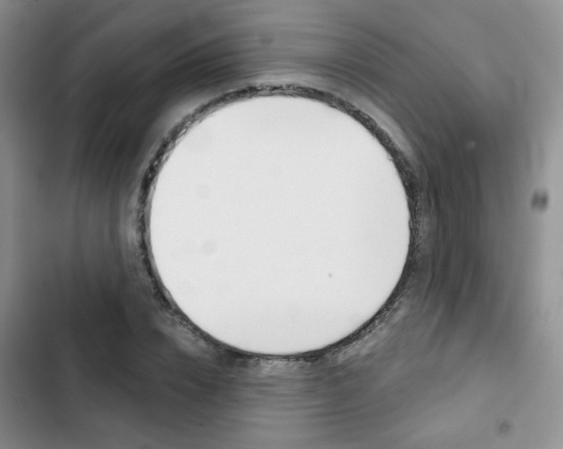 X0000102820832200808181023