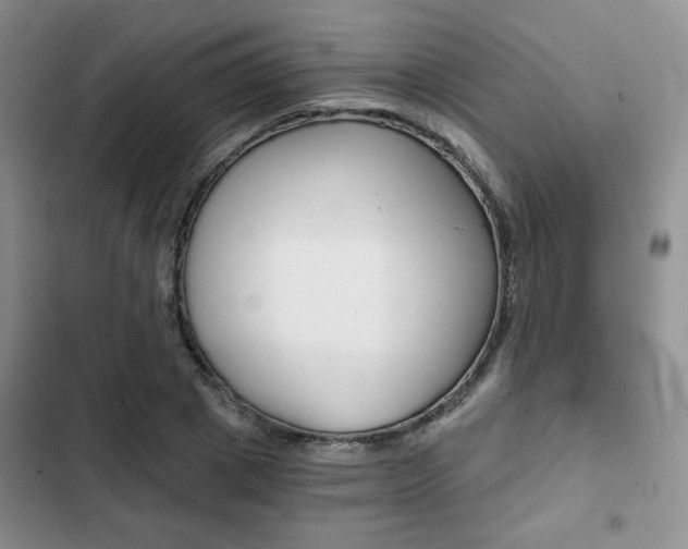X0000102820833200808181023
