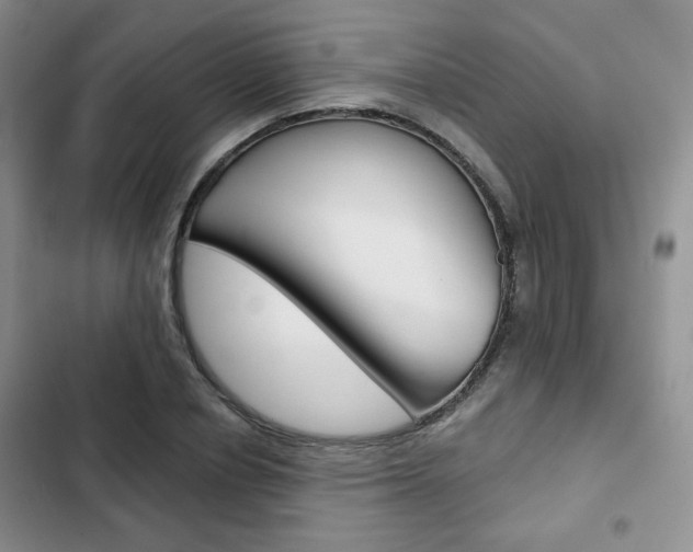 X0000102820834200808181023