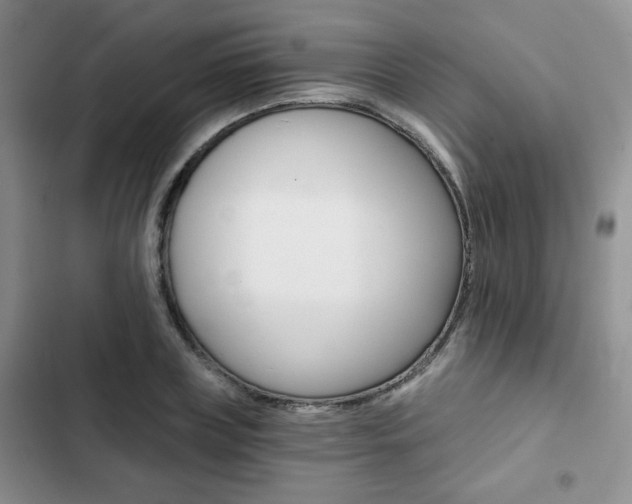 X0000102820835200808181023