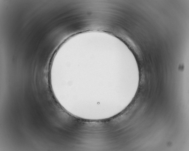X0000102820836200808181023