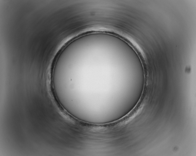 X0000102820837200808181023