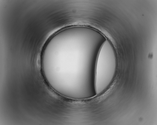 X0000102820838200808181023