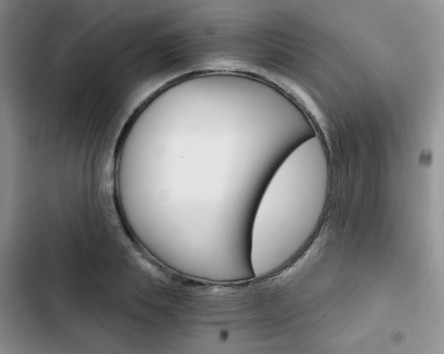 X0000102820839200808181023