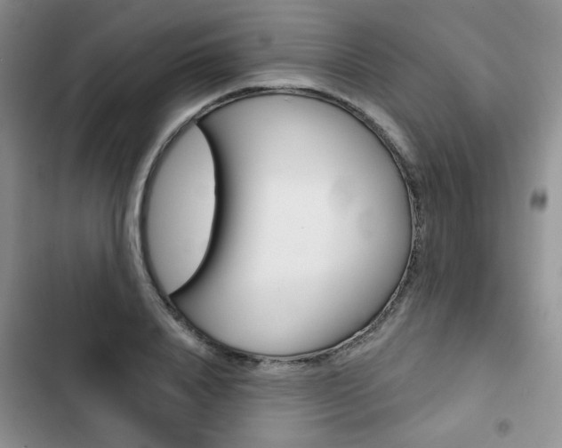 X0000102820840200808181023