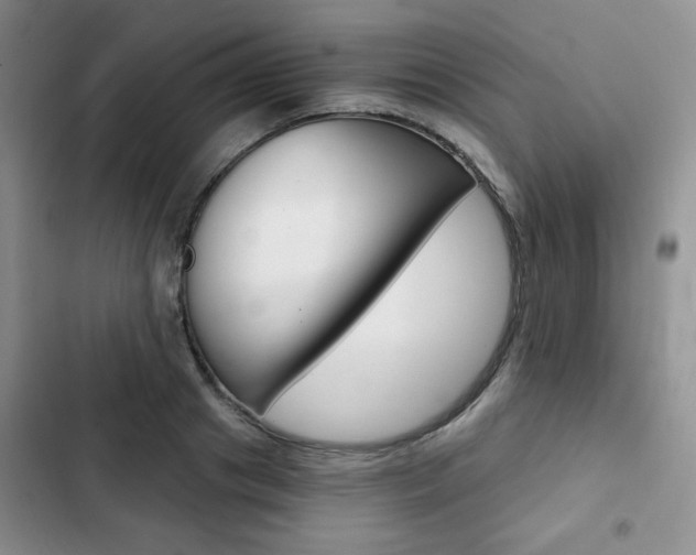 X0000102820841200808181023