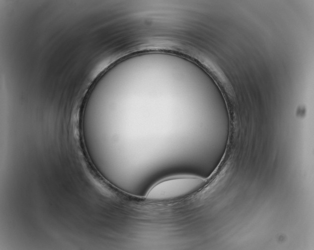 X0000102820842200808181023