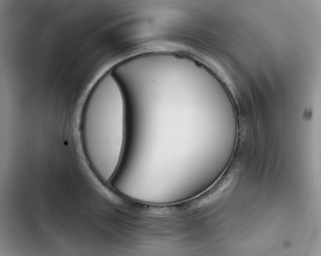 X0000102820843200808181023