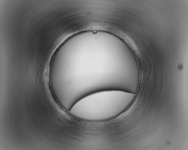 X0000102820844200808181023