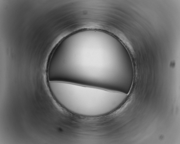 X0000102820845200808181023