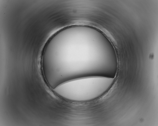 X0000102820846200808181023