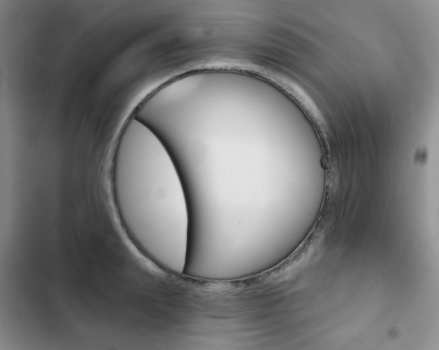 X0000102820847200808181023