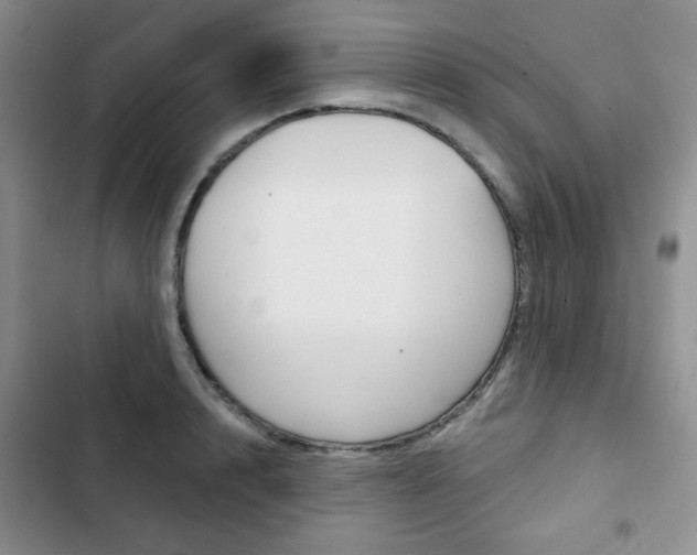 X0000102820848200808181023