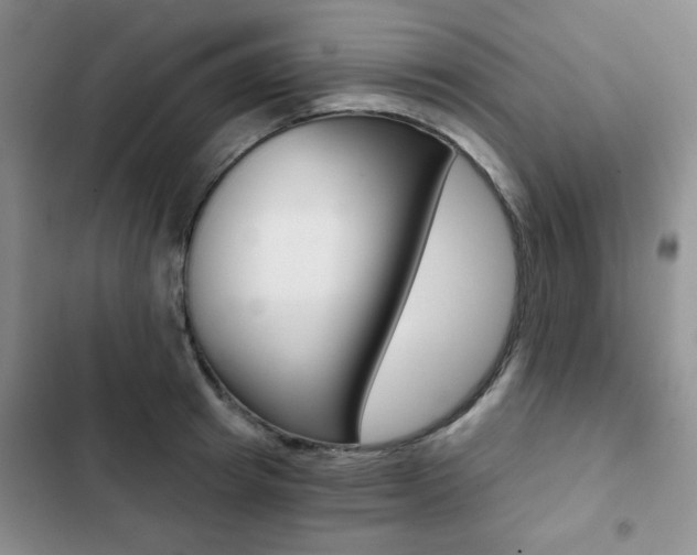 X0000102820849200808181023