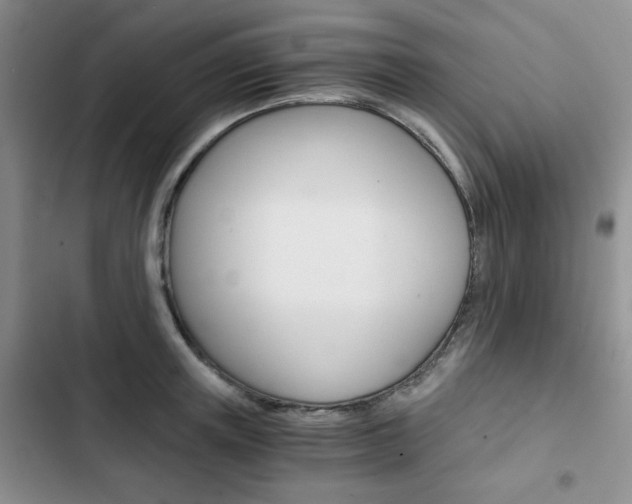 X0000102820851200808181023