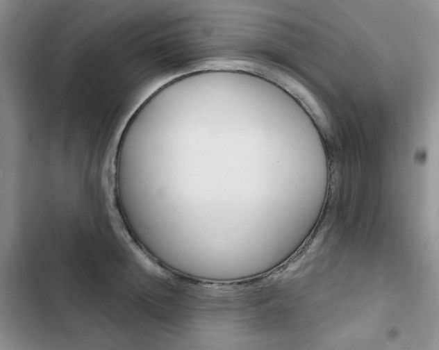 X0000102820852200808181023