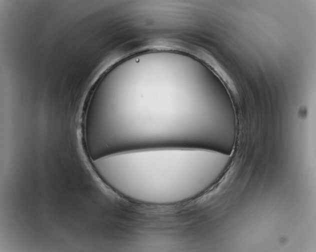 X0000102820853200808181023