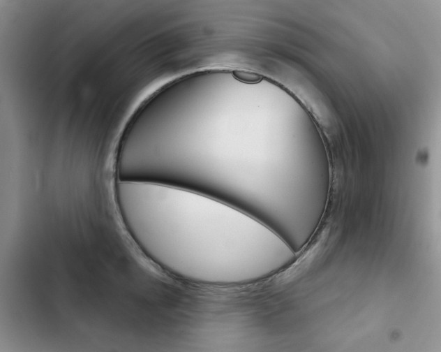 X0000102820854200808181023