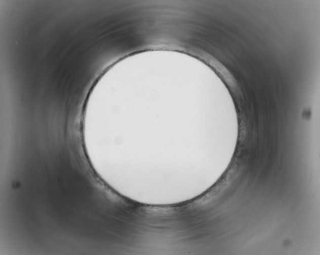 X0000102820856200808181023