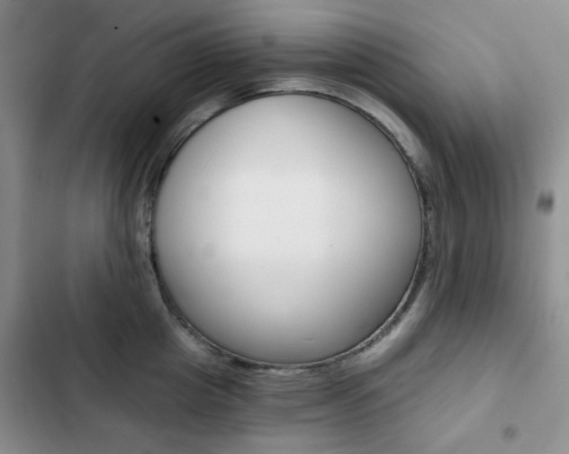 X0000102820857200808181023