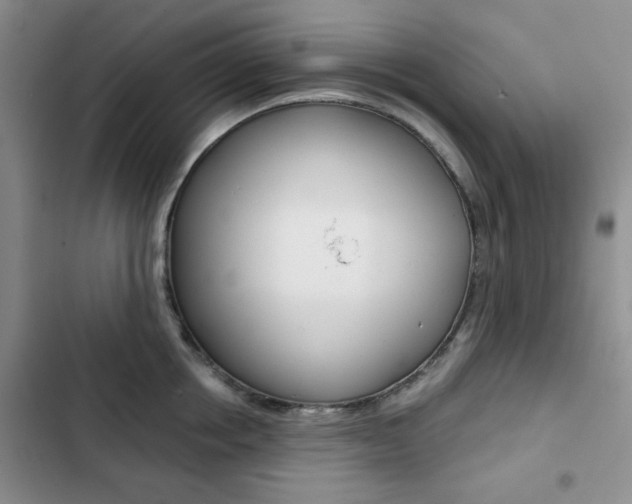 X0000102820858200808181023