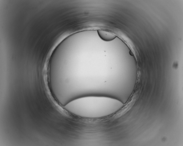 X0000102820859200808181023