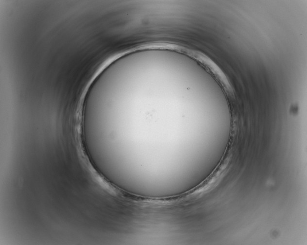 X0000102820860200808181023