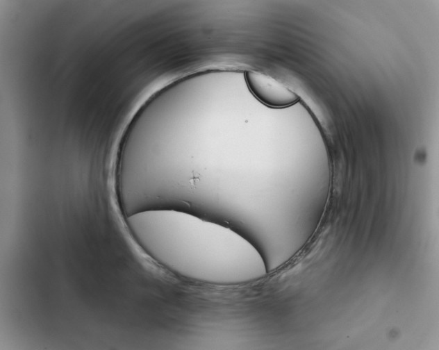 X0000102820861200808181023